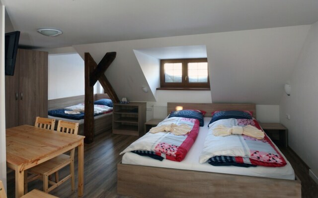 Apartments Stein Boží Dar