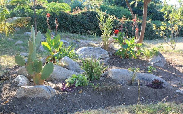 Papa's Cafe And Bungalows