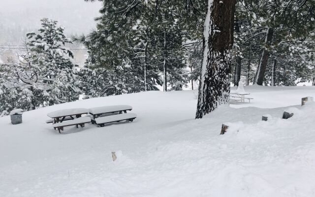 Mountain View Cabins