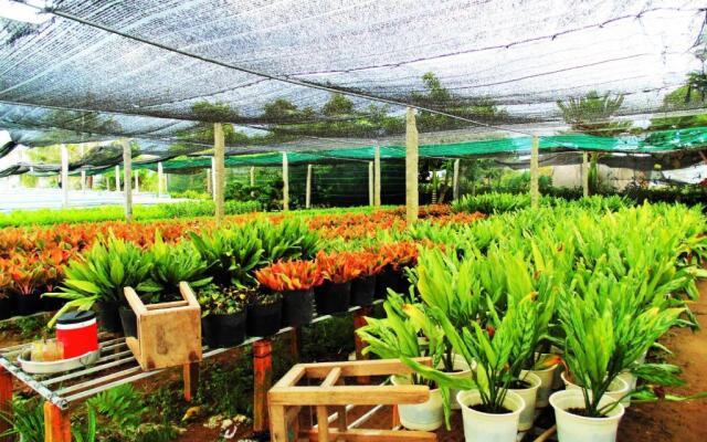 Flower & Frog Homestay