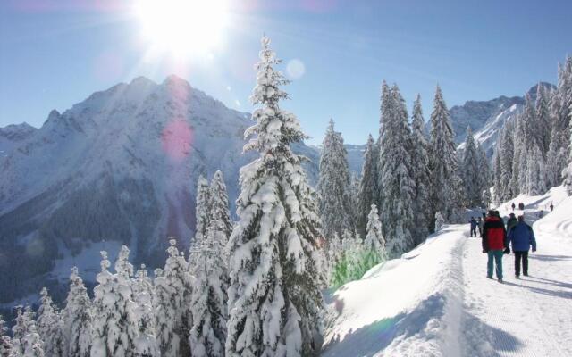 ALP-CHALET Ferienwohnungen Kleinwalsertal