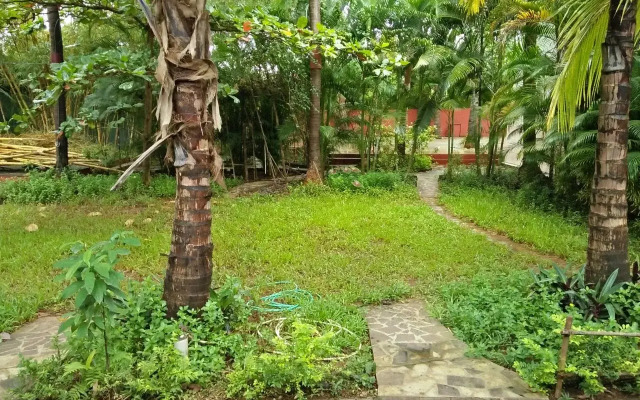Chikoo House