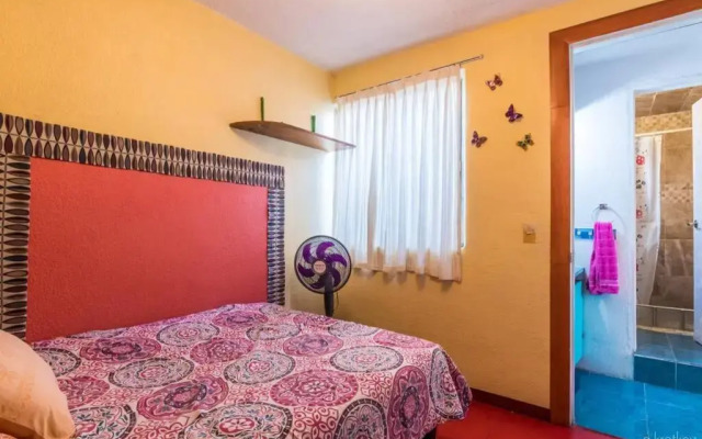 Nice full apartment, downtown on foot