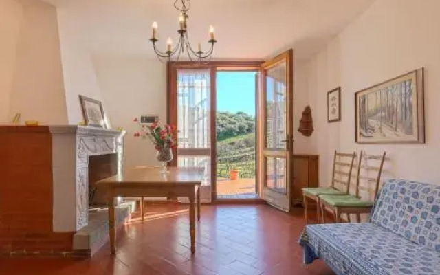 Conte Francesco Ii 233S