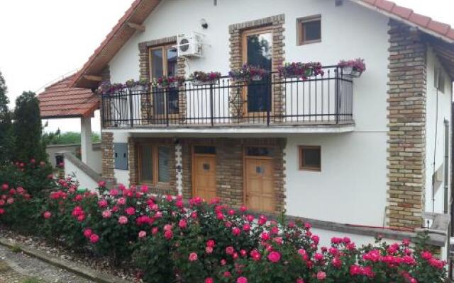 Petar`s Villa