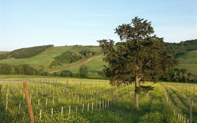 Fattoria Voltrona