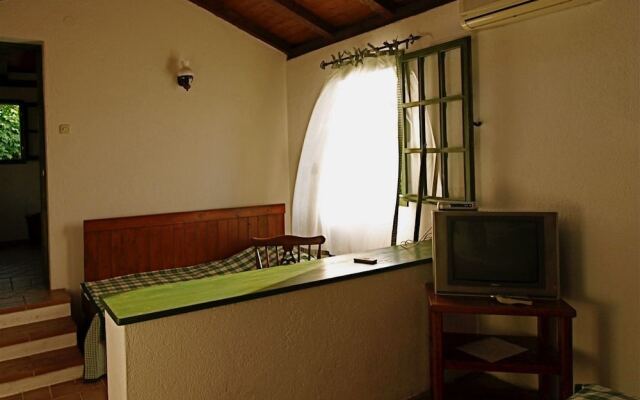 Apartments Cvita