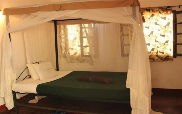 Kilimanjaro Backpackers Hotel - Backpacker