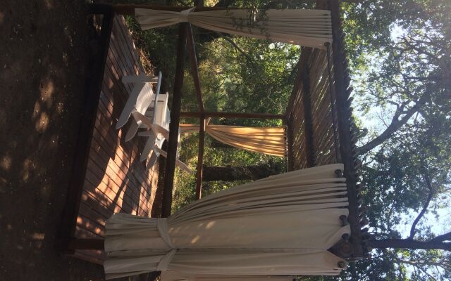 Bushbaby River Lodge