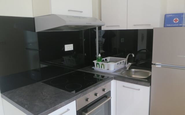 Apartments Davor