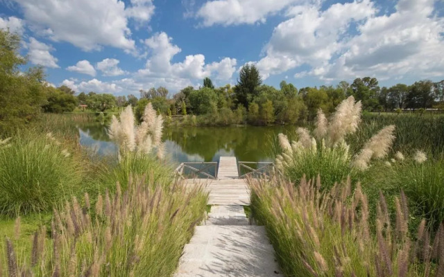 Hotel Viñedos San Lucas