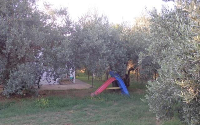 The Small House in the Olive Grove