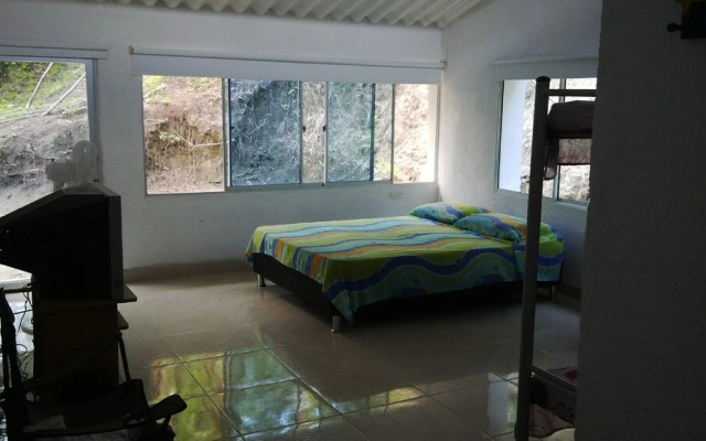 Casa Cristal Floresta