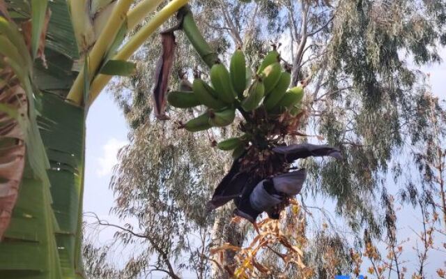 Yixiangju Guesthouse