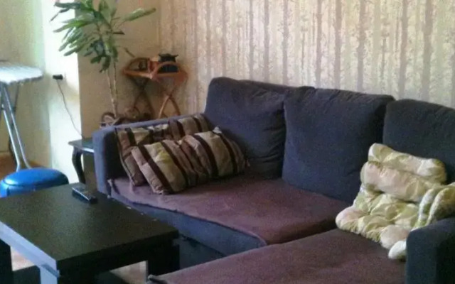 Green Apartmnet on Shenchenko