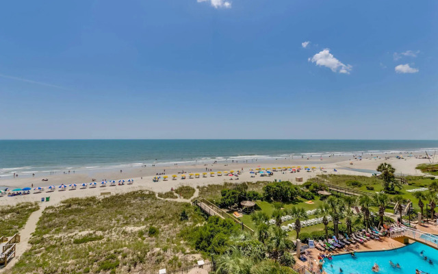 Carolina Dunes