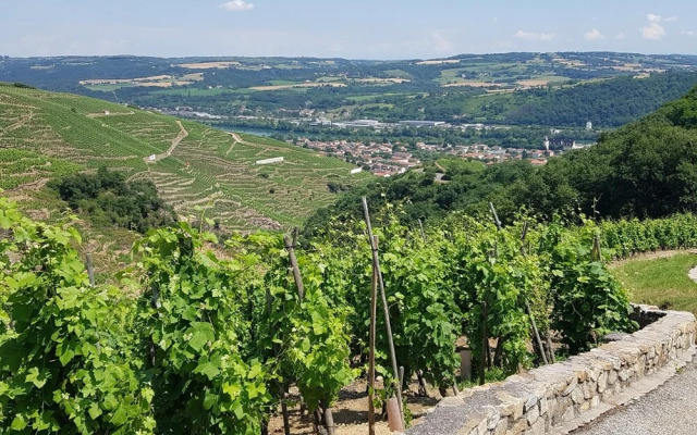 Hôtel Le Domaine des Vignes