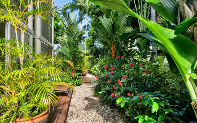 Port Douglas Apartments - Adults Only Oasis