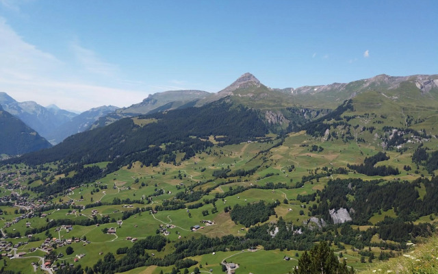 Chalet Pfyffer - Mountain view