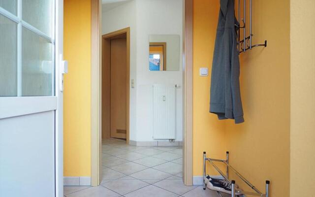 Alte Reihe 10 - Silbermöwe 1