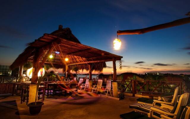 Hostel Natura