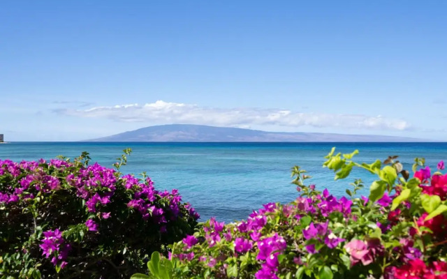 Kuleana 614 - 1Br Condo