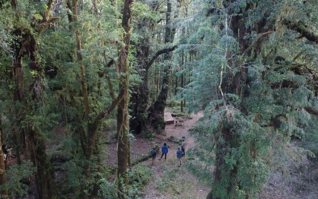 Hotel Parque Tepuhueico