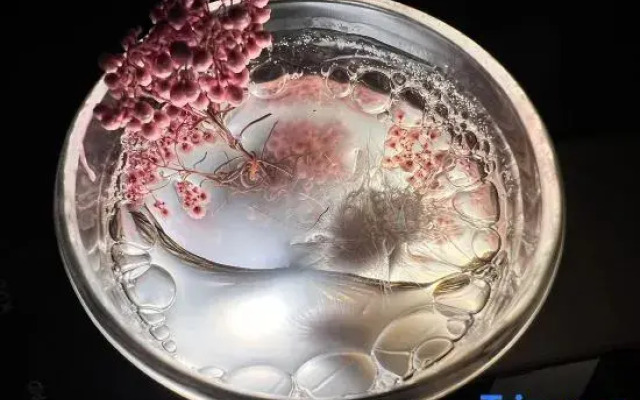 Xishan Haraju Vanilla Forest Wentang Meisu (Moganshan Resort)