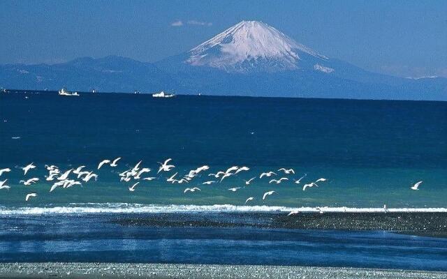 Tateyama Seaside Hotel