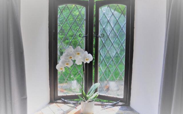 Charming Guest House in Cornish Countryside