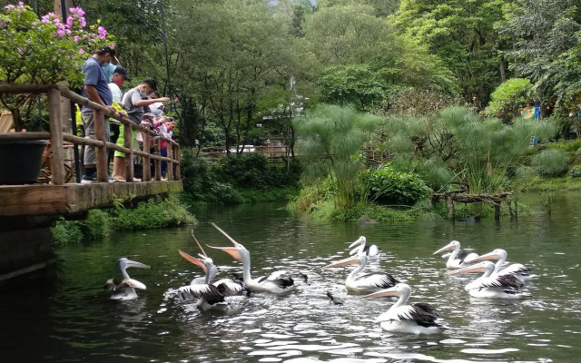 Taman Safari Lodge
