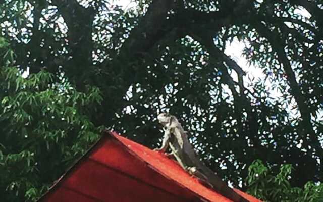Estancia Ecologica LOS FUNDADORES