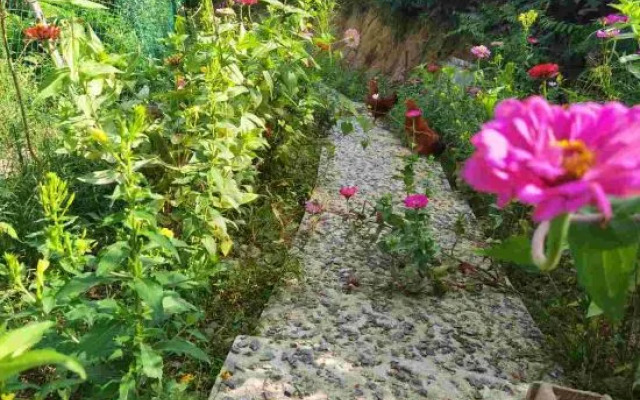 Yuyao Old Shen's Tea House