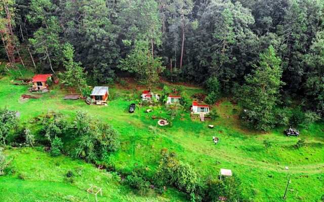Romanticas Cabañas En Bosque