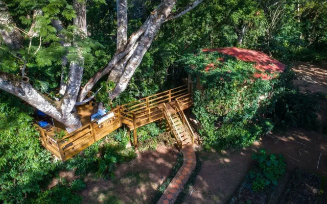 DuPlooys Jungle Lodge