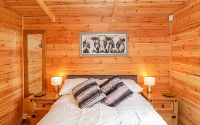 The Cabin