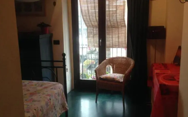 Mole'N Room