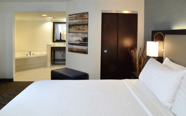 Holiday Inn Youngstown South by IHG