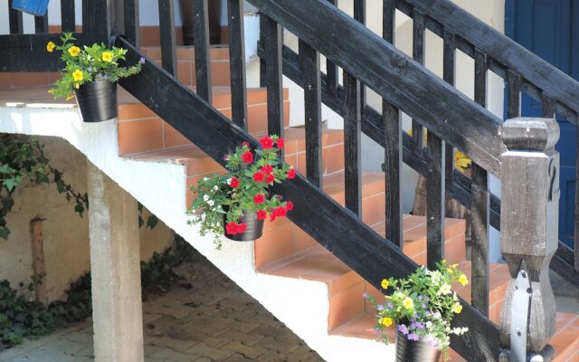 Apartments and Rooms Sara Latin