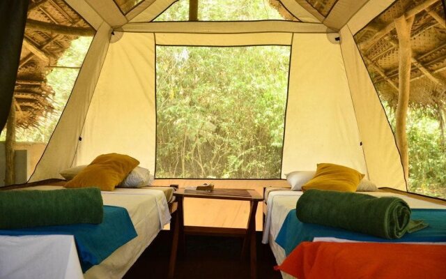 Palpatha Eco Safari Lodge