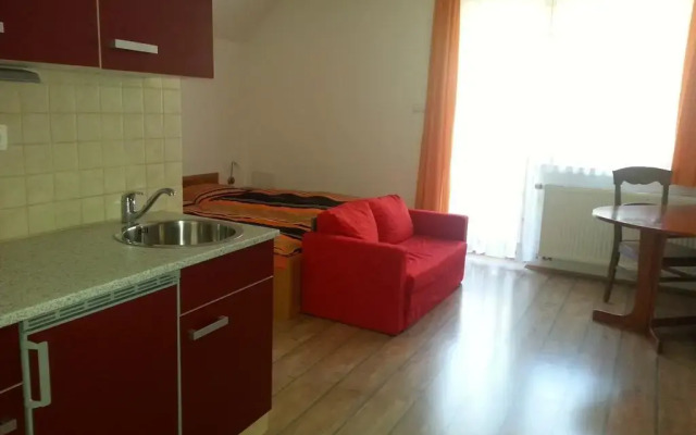 Apartments and Rooms Martuljk