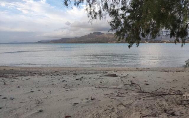 Bahia- apartment by the sea,close to cedar forest!