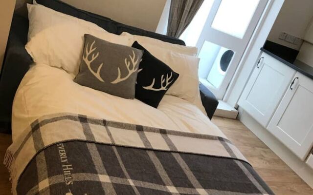 Victorian Garden Apartment in Brixton