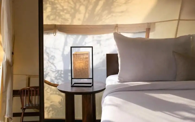 Zen By Stellar Cameron