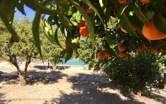 Agriturismo Coscio