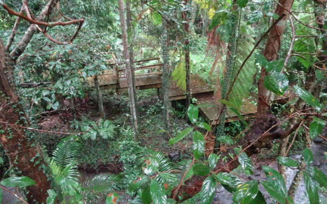 Treetops Accommodation Montville