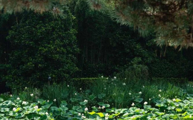 Tranquil 1BR Villa in Revislate