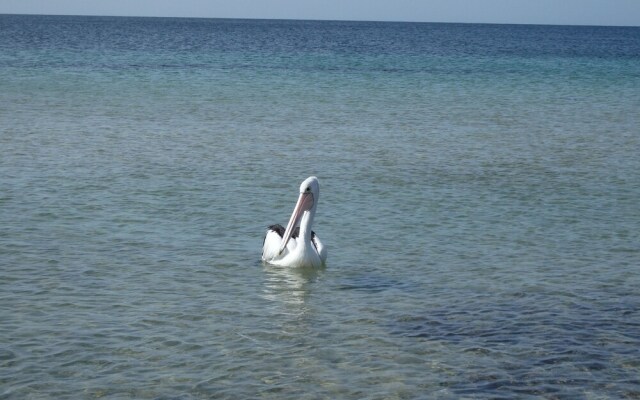 Gilligan's Kangaroo Island