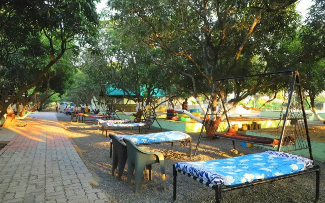Wilderness Camp 200mtr from Devaliya Park