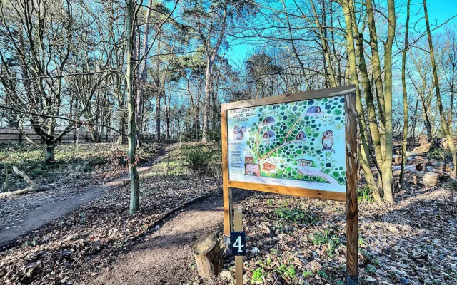 Retreat in Suffolk's Woodland Countryside